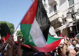 Gaza : La Tunisie, unie, en soutien de la Palestine (Album photos)