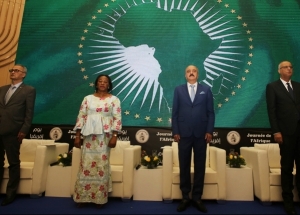 Célébration de la Journée de l'Afrique
