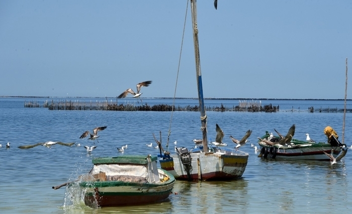 Le faux dilemme des îles Kerkennah en Tunisie : développement économique ou préservation de l’environnement ? Une analyse à partir des projets soutenus par le projet DEVLOK