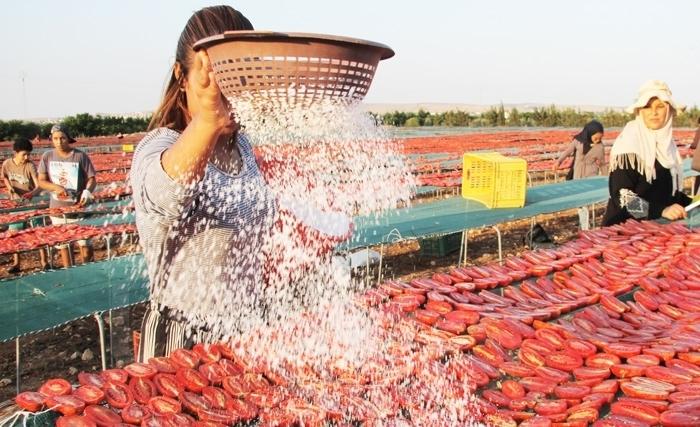 SUNANTIPASTI Tunisie  Tomates séchées au soleil