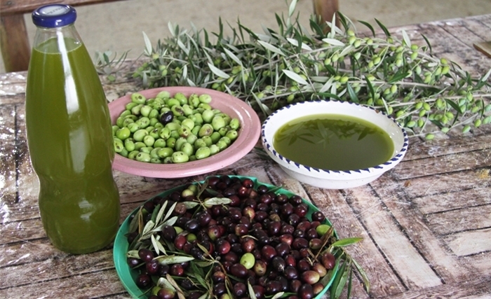 Le secteur oléicole à l'honneur: Sfax accueille un événement clé sur le marketing et la commercialisation de l'huile d'olive