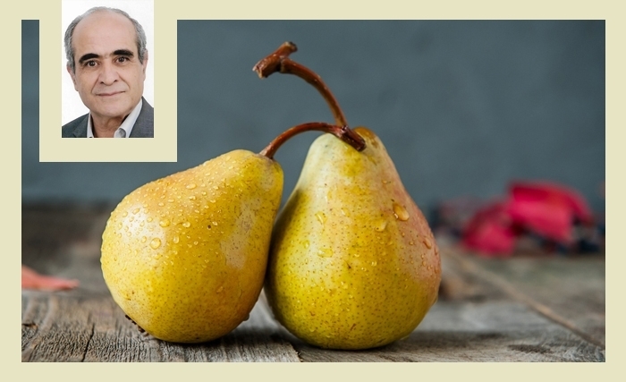 Ridha Bergaoui: La poire, un fruit royal en voie de disparition