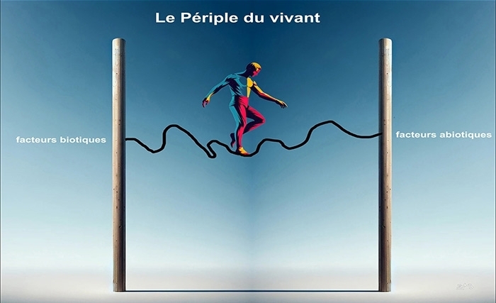 Le vivant: Funambule du destin