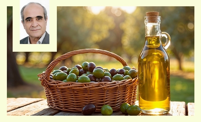Huile d’olive : Produire, c’est essentiel. Bien vendre, c’est vital Huile d’olive : Produire, c’est essentiel. Bien vendre, c’est vital
