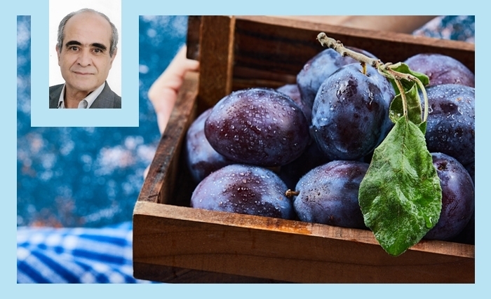 La prune: un fruit-santé riche et polyvalent