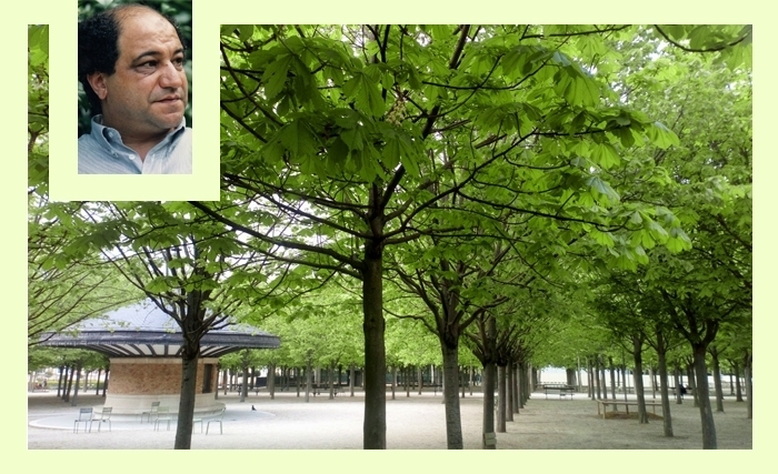 Tahar Bekri: Arbres