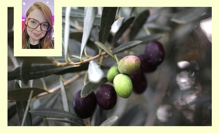 Pour une oléiculture durable et résiliente face au changement climatique