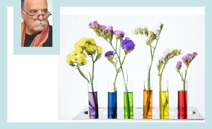 Les couleurs du vivant: Quand la biologie et l’art se rencontrent