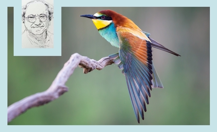 Tahar Bekri : Voeux de l'oiseau patient