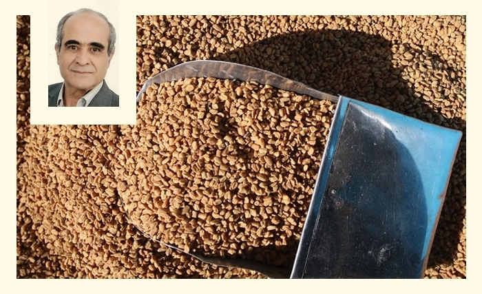 Le fenugrec ou helba: Une graine ancestrale aux vertus multiples