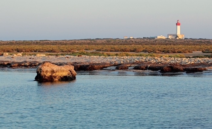 Les îles Kuriat : le sanctuaire des tortues marines et de la biodiversité méditerranéenne