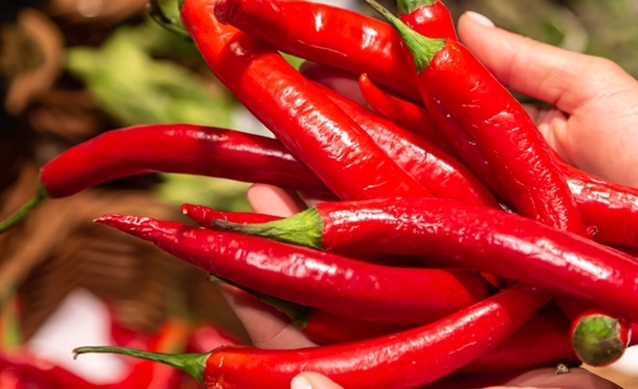 Piment rouge: Le feu qui fait vivre la terre tunisienne