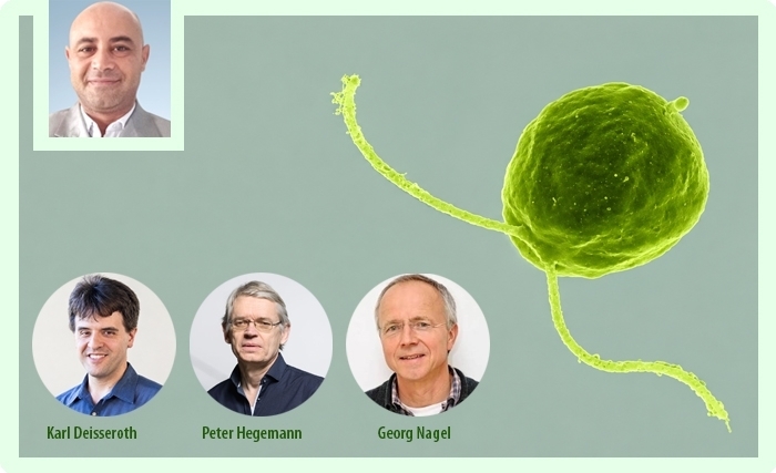 Dhia Bouktila: Une algue, le cerveau et les chemins imprévisibles de la science