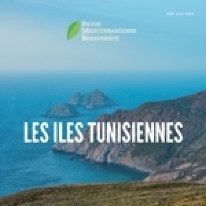 Les îles tunisiennes: un trésor à découvrir