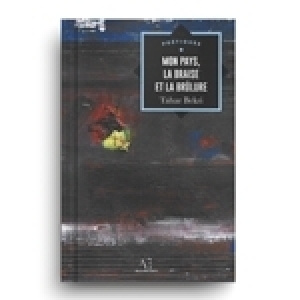 «Mon Pays, la braise et la brûlure», de Tahar Bekri