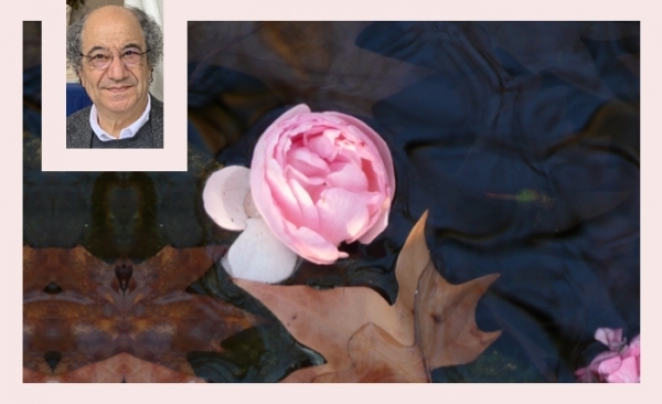 Tahar Bekri: Liban ma rose noire