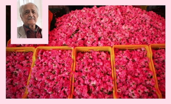 Anouar Attia: Je me souviens de Nabeul printanier (Album photos)