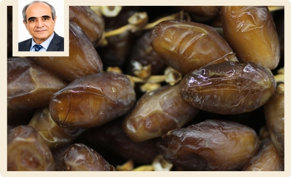 Les dattes tunisiennes: un fruit délicieux et nutritif, des sous-produits à mieux valoriser (Album photos)